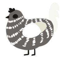 (unnamed), a grey and white chicken with a bar pattern