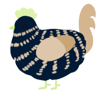 Truffles, a tumblr and beige chicken with a bar pattern