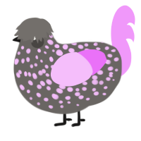 Ink Sac, a grey and lavender chicken with a speckle pattern