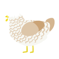 Oatmilk Latte, a white and beige chicken with a lace pattern