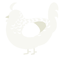 Whipped Cream, a white chicken with a half-lace pattern