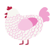 Puff, a white and pink chicken with a lace pattern