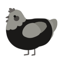 Grayscale, a sable and ash chicken with a head pattern