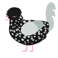 (unnamed), a sable and silver chicken with a speckle pattern