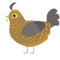 金宝, a gold and silver chicken with a lace pattern