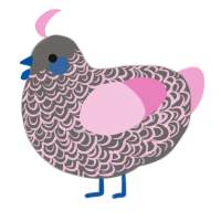 Dust, a grey and pink chicken with a double-lace pattern