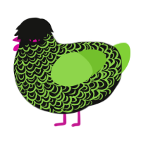 punk rock pink, a black and grass chicken with a double-lace pattern