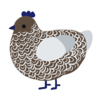 (unnamed), a bark and mist chicken with a double-lace pattern