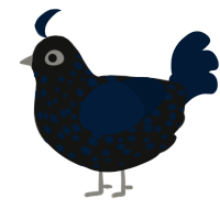 Midnight Sky, a black and tumblr chicken with a speckle pattern