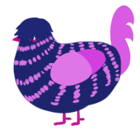 (unnamed), a navy and orchid chicken with a bar pattern