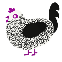 Cake Breakfast, a white and black chicken with a double-lace pattern