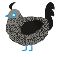 Suiteheart, a ash and sable chicken with a double-lace pattern