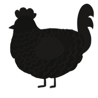 void princess, a black and sable chicken with a lace pattern