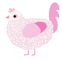 glinda upland, a white and pink chicken with a double-lace pattern