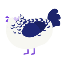 Blue Wonder, a white and navy chicken with a half-lace pattern