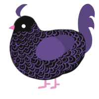 Purple Void, a black and overcast chicken with a double-lace pattern