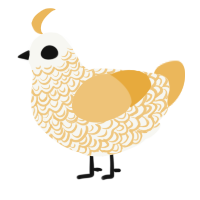 Popcorn, a white and honey chicken with a double-lace pattern