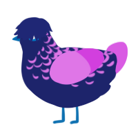 Popular Rights, a navy and orchid chicken with a half-lace pattern