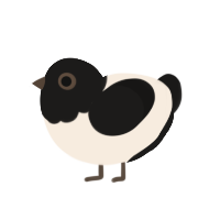 A cream and sable chicken with a head pattern