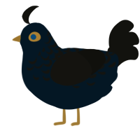 Mika Kagehira from E, a tumblr and black chicken with a half-lace pattern