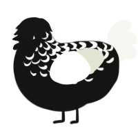 Friend, a black and white chicken with a half-lace pattern