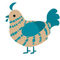 Tel, a beige and sea chicken with a bar pattern