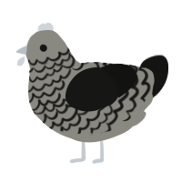 Greyscale, a ash and black chicken with a lace pattern