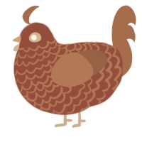 Espresso, a russet and brown chicken with a lace pattern