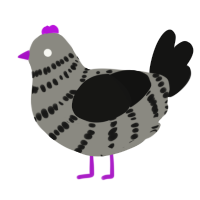 EnderDragon, a ash and black chicken with a bar pattern