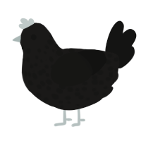 minecraft enderman, a sable and black chicken with a speckle pattern