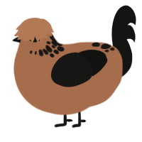 Chocolate Bar, a brown and black chicken with a neck-speckle pattern