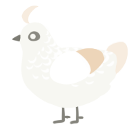 Cotton, a white and cream chicken with a half-lace pattern