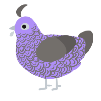 (unnamed), a lilac and grey chicken with a double-lace pattern