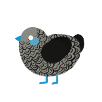 (unnamed), a ash and black chicken with a double-lace pattern