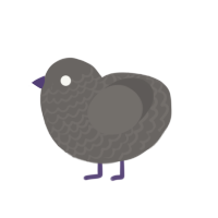 Weird Rock, a grey chicken with a lace pattern