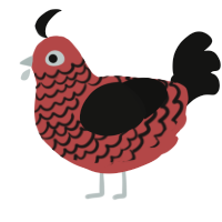 Hua Chick, a red and black chicken with a lace pattern