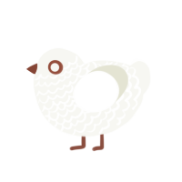 DUCK, a white chicken