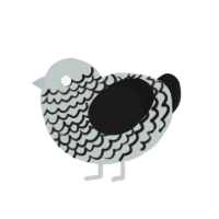 (unnamed), a silver and sable chicken with a lace pattern