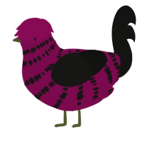 BlackBerry, a wine and black chicken with a bar pattern