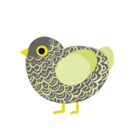 Lightning Storm, a grey and lemon chicken with a double-lace pattern