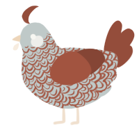 (unnamed), a silver and russet chicken with a double-lace pattern