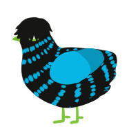 Witch Blueberry, a black and cerulean chicken with a bar pattern