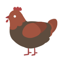 (unnamed), a bark and russet chicken with a head pattern