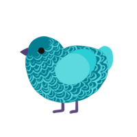 caribbean tide, a sea and aqua chicken with a double-lace pattern