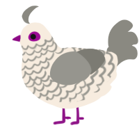 (unnamed), a cream and ash chicken with a lace pattern