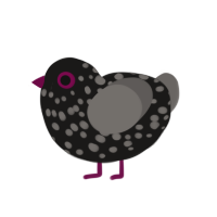 Misha, a sable and grey chicken with a speckle pattern