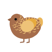 Clover, a brown and honey chicken with a half-lace pattern