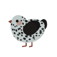 Spot, a silver and sable chicken with a speckle pattern