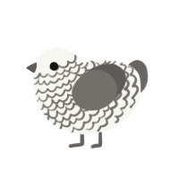 ZERO ULTRA, a white and grey chicken with a lace pattern