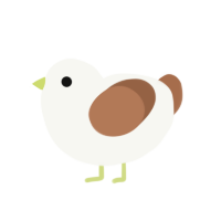 Spice Gull, a white and brown chicken